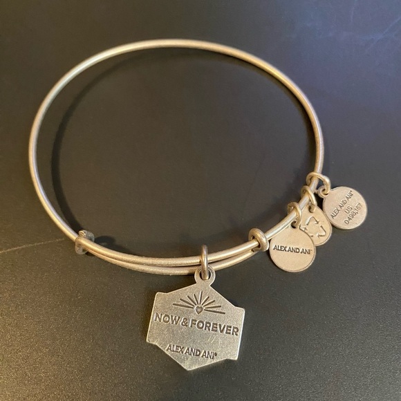 💙ALEX AND ANI💙”You Are Essential”Bangle Bracelet with Silver Finish/GC - Picture 4 of 4